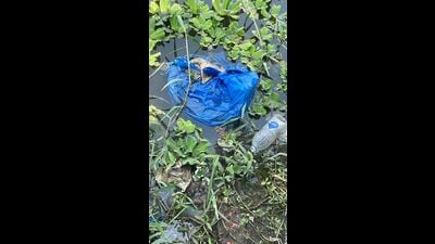 The issue first came to light during an inspection on March 6, when officials found 10 to 12 plastic bags that had drifted near the Dashakriya Ghat. (HT) The issue first came to light during an inspection on March 6, when officials found 10 to 12 plastic bags that had drifted near the Dashakriya Ghat. (HT)