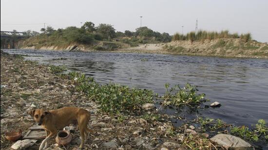 The government will spend ₹8.2 crore on the ISBT drain, ₹11.23 crore on the Sen Nursing Home drain and ₹9.36 crore on the Jaitpur drain. The projects are likely to be completed within five months. (HT Archive)