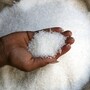 চিনি রপ্তানিতে ‘ব্রেক’ কেন্দ্রের (BLOOMBERG)