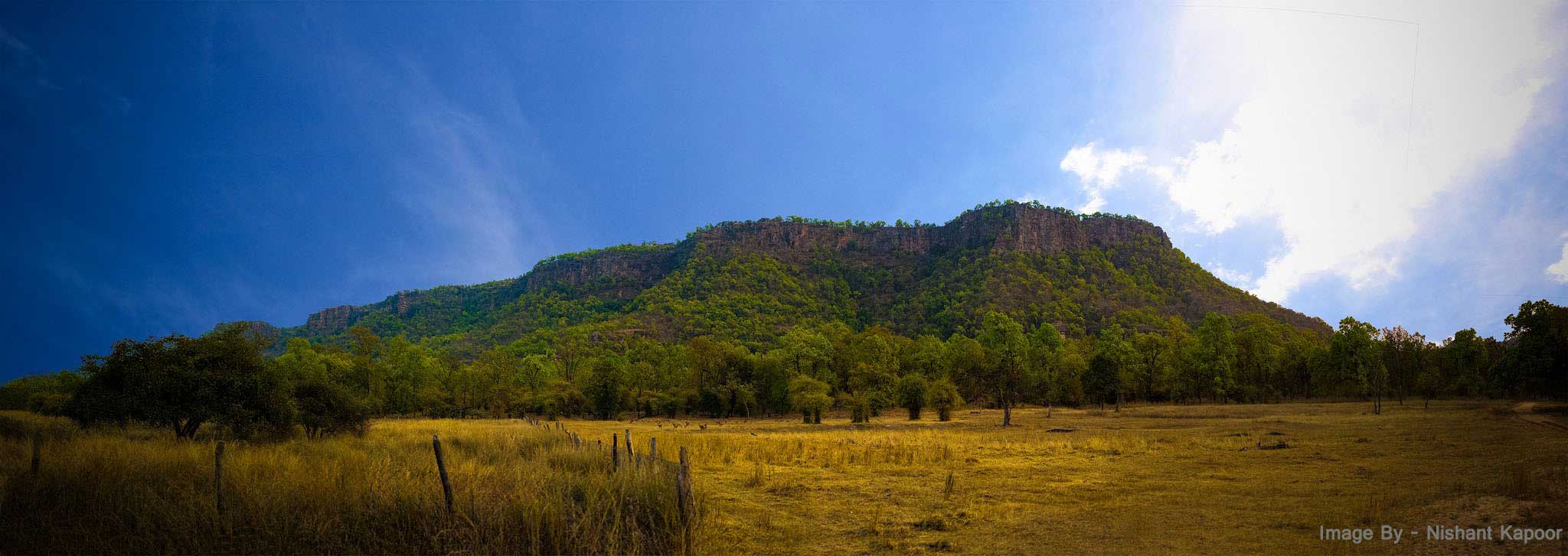 Bandhavgarh Tiger Reserve (Photo: Nishant Kapoor)