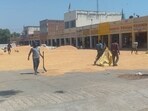 Haryana, which ranks second in wheat production in the country, recorded a total production of 121.70 LMT this season. (HT File)