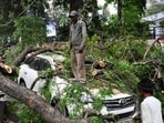 People remove a fallen tree from a car in Prayagraj. (REUTERS)