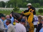 Paco Lopez drapes a blanket of Black-eyed Susan flowers over Napoleon Solo after winning the 151st running of the Preakness Stakes horse race.