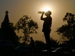 Mahesh Palawat, vice president of Skymet Weather said the rise in temperature is due to the lack of any active western disturbances and cyclonic circulations.