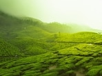 From Ooty's scenic hills to Singapore's bustling night life, summer vacation is all set to be experience driven. From Ooty's scenic hills to Singapore's bustling night life, summer vacation is all set to be experience driven.