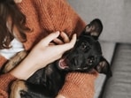 Read more to find out how pets can reduce stress and improve quality of life! Read more to find out how pets can reduce stress and improve quality of life!