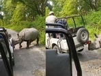 The incident took place during a routine jungle safari at Manas National Park.