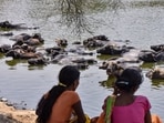 IMD forecast predicts temperatures could rise by another 2-3 degrees Celsius between Wednesday and Friday. (PTI)
