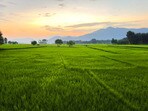 తెలంగాణలో భూముల విలువలో మార్పులు