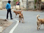 రద్దీగా ఉండే పబ్లిక్ ప్లేసెస్ నుంచి వీధి కుక్కలను తరలించాలని సుప్రీం కోర్టు తీర్పు(HT_PRINT)