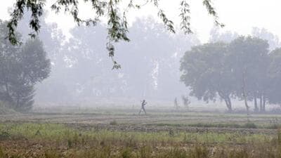 The move will benefit 340 farmers from seven villages -- Jaganpur Afzalpur, Dankaur, Nilauni Shahpur, Mirzapur, Salarpur, and Achheja Bujurg -- between Greater Noida and Jewar Toll, said officials. (HT Archive) The move will benefit 340 farmers from seven villages -- Jaganpur Afzalpur, Dankaur, Nilauni Shahpur, Mirzapur, Salarpur, and Achheja Bujurg -- between Greater Noida and Jewar Toll, said officials. (HT Archive)