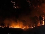 Only 12 incidents of forest fire reported till May 19 compared to 70 incidents during the corresponding period in 2025-26. (HT File)
