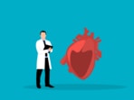 Most heart diseases stem from three underlying conditions.