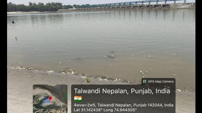 The Punjab wildlife department has raised concerns over rapidly deteriorating water quality at Harike Wetland after laboratory analysis of water samples collected from the Harike barrage in Ferozepur district revealed dangerously high turbidity levels and signs of sewage contamination.