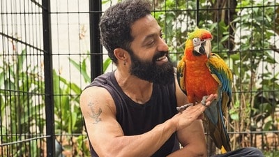 Dragon: జూనియర్ ఎన్టీఆర్ బెస్ట్ బర్డీస్ను చూశారా? జపాన్ నుంచి తెచ్చుకున్న పక్షులను పరిచయం చేసిన డ్రాగన్ Dragon: జూనియర్ ఎన్టీఆర్ బెస్ట్ బర్డీస్ను చూశారా? జపాన్ నుంచి తెచ్చుకున్న పక్షులను పరిచయం చేసిన డ్రాగన్
