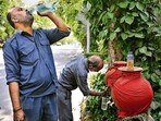 Many Delhiites working outdoors in this heat often face difficulty in even sourcing clean drinking water. (Photo: ANI (For representational purposes only))
