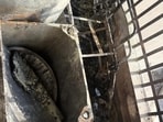 On Wednesday at 4.53 pm, the fire control room was alerted by a local resident that a fire had broken out at the Supertech Upcountry society in Greater Noida’s Dankaur,” said Jitendra Kumar, fire officer, Ecotech-1. (HT Photo)