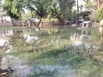 Water flooded the park in Block D after overflow negligence by pump operators on Sunday, locals alleged. (HT)