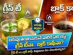 గ్రీన్ టీ వర్సెస్​ బ్లాక్ కాఫీ.. ఏది బెస్ట్?