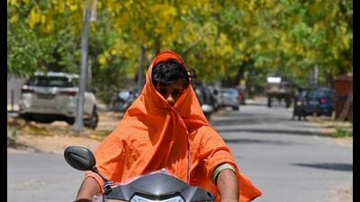 The city recorded a maximum temperature of 42°C on Thursday (Parveen Kumar/HT) The city recorded a maximum temperature of 42°C on Thursday (Parveen Kumar/HT)
