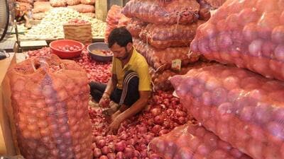 Wholesale onion prices at the Vashi APMC have shot up from  ₹10-12 per kg to  ₹15 per kg (HT Photo)