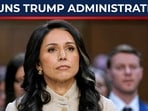 Another major shock has hit Donald Trump’s administration as Director of National Intelligence Tulsi Gabbard announced her resignation amid the ongoing Iran war crisis.