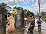 In 2023 and 2025 combined, 80 lives were lost to the floods. Over 3 lakh livestock—including cattle, buffaloes, and goats—perished, devastating rural families who rely on these animals for their daily livelihood and sustenance. (File photo)