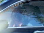 Annie Guthrie and Tommaso Cioni's car was with the Pima County Sheriff's Department for quite some time, which subjected them to further public speculation amid Nancy Guthrie's disappearance. 