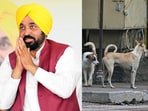 Mann also said the government would use legally allowed measures, including euthanasia against “dangerous and aggressive dogs.