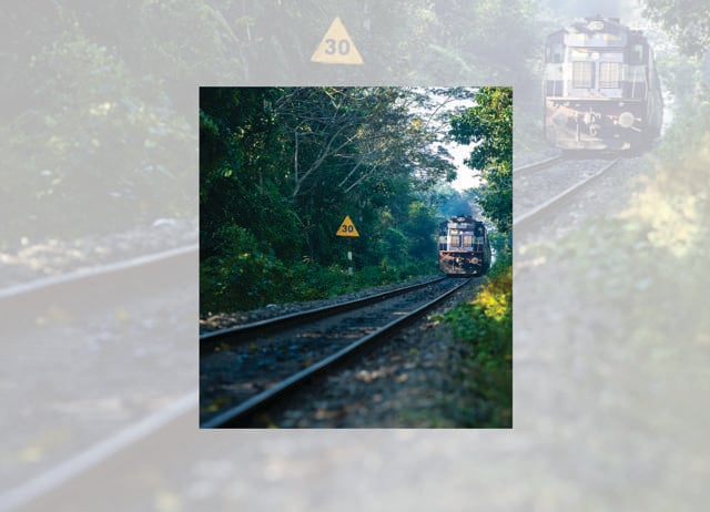 As children, train journeys to and from our native places felt magical. (ADOBE STOCK) As children, train journeys to and from our native places felt magical. (ADOBE STOCK)