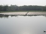 Dhanas Lake feels like a quieter, gentler corner of Chandigarh where nature is slowly reclaiming its lost space. (Vivek Gulati) Dhanas Lake feels like a quieter, gentler corner of Chandigarh where nature is slowly reclaiming its lost space. (Vivek Gulati)