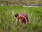 Maharashtra government has gone on alert to manage fertiliser availability ahead of kharif season with concerns mounting over disruptions to global supply chains due to ongoing geopolitical conflicts. ((PIC FOR REPRESENTATION))