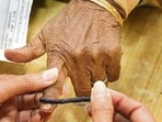 Punjab’s civic elections will be held on May 26, with voting scheduled from 8 am to 5 pm. (HT File)