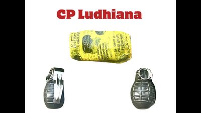 The grenades seized by police on Saturday. (Sourced) The grenades seized by police on Saturday. (Sourced)
