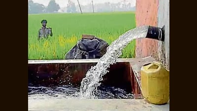 The plea said Punjab’s subsidy has touched  ₹6,113 crores during 2016-2017. (HT Photo)