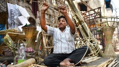 Micro, Small and Medium Enterprises sector.