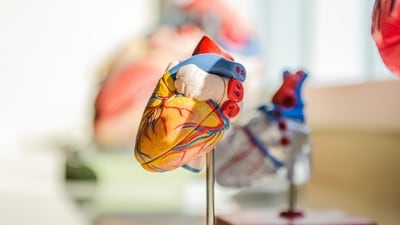Things to do in 30s to keep a healthy heart in 80s. (Unsplash)