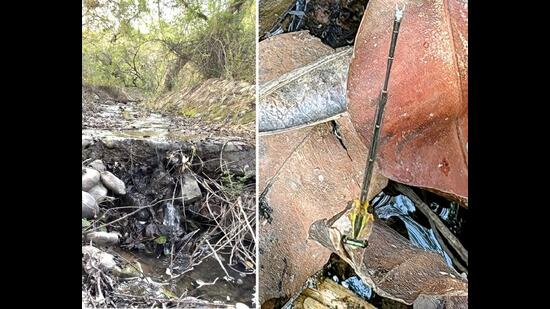 Parchh dam waterfall; and (right) a damselfly. (VIKRAM JIT SINGH)