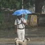 আজ কলকাতা-সহ দক্ষিণবঙ্গের একাধিক জেলায় বজ্রবিদ্যুৎ-সহ বৃষ্টি হতে পারে। (ছবিটি প্রতীকী, সৌজন্যে পিটিআই)