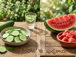 కీరదోస vs పుచ్చకాయ(Gemini AI)