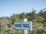 Who is Dillon Curtis? Man arrested after attacking woman on Bent Creek trail; threatened to ‘drag her into the woods’