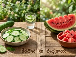 కీరదోస vs పుచ్చకాయ