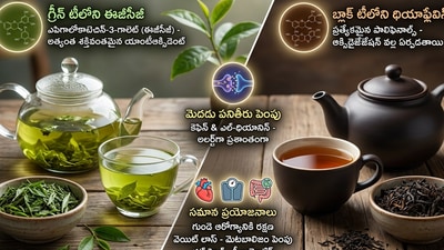 గ్రీన్ టీ వర్సెస్ బ్లాక్ టీ.. ఏది బెస్ట్? (AI generated image) గ్రీన్ టీ వర్సెస్ బ్లాక్ టీ.. ఏది బెస్ట్? (AI generated image)