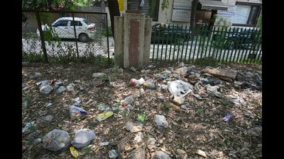 Illegally dumped single-use plastic waste along the green belt near traffic signal in Sector 40, seen earlier this month. (Parveen Kumar/HT) Illegally dumped single-use plastic waste along the green belt near traffic signal in Sector 40, seen earlier this month. (Parveen Kumar/HT)