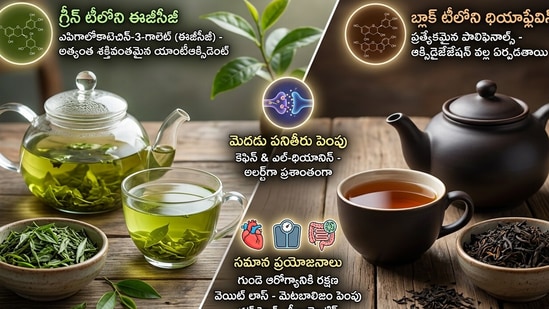 గ్రీన్ టీ వర్సెస్ బ్లాక్ టీ.. ఏది బెస్ట్? (AI generated image)