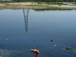 Experts and pollution monitoring agencies have pegged Yamuna’s e-flow requirement at 23 cubic metres per second (cumecs). (Hindustan Times/Vipin Kumar) Experts and pollution monitoring agencies have pegged Yamuna’s e-flow requirement at 23 cubic metres per second (cumecs). (Hindustan Times/Vipin Kumar)