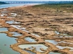 Mined-out pits on the Chambal river floodplain (HT Photo/Raj K Raj)