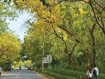 This moment in this intolerable heat, two citizens are strolling beneath the flowers.
