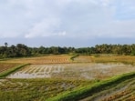 Bengaluru-based real estate firm Puravankara has secured a 14.57-acre land parcel in Mandur, to develop a housing project with a revenue potential of  <span class='webrupee'>₹</span>2,300 crore (Photo for representational purposes only)