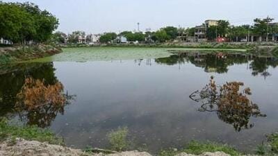 According to Gautam Budh Nagar forest department officials, they have written to the nodal officer of the groundwater department and district groundwater management council about the pending action on restoring ponds identified for groundwater recharge. (HT Archive) According to Gautam Budh Nagar forest department officials, they have written to the nodal officer of the groundwater department and district groundwater management council about the pending action on restoring ponds identified for groundwater recharge. (HT Archive)